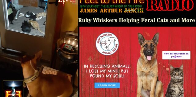 F2F Radio: Ruby Whiskers Animal Rescue